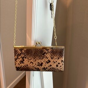 Snakeskin Clutch with Gold Accents